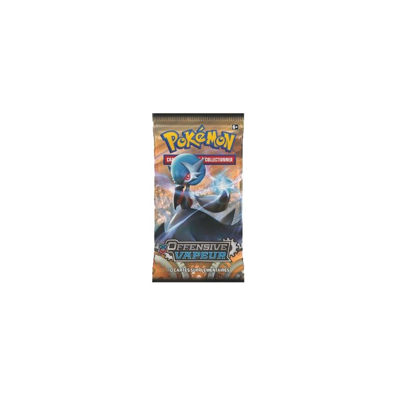 Acheter le Cahier Range Cartes Pokémon A4 - XY11 Offensive vapeur