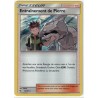 Carte Pokemon SL11.5 55/68 Entrainement de Pierre Holo