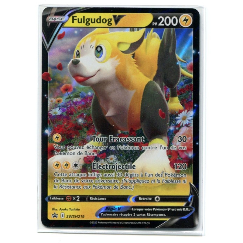Coffret Pokémon Fulgudog-V