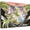 Coffret Pokémon Viridium V