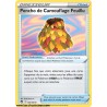 Carte Pokémon EB12 160/195 Poncho de Camouflage Feuillu